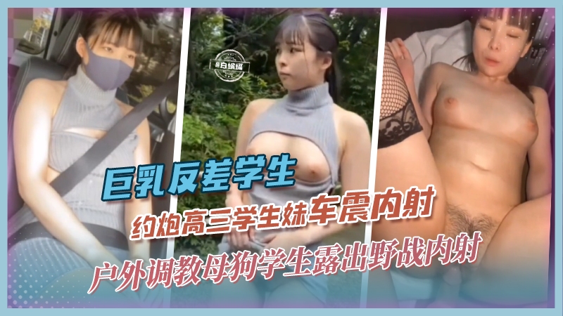 巨乳反差学生-约炮高三学生妹车震内射，户外调教母狗学生露出野战内射